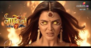 Naagin-7-310x165-1.jpg